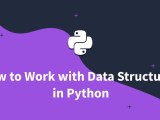 Python Data Structures Lists Dictionaries Sets Tuples 2023