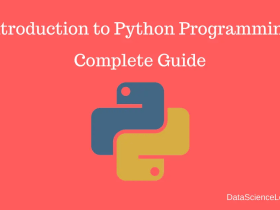 Introduction to Python Programming