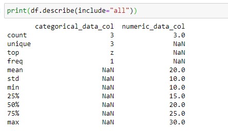 Pandas Dataframe describe method Implementation With Examples