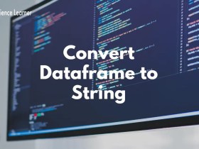 Convert Dataframe to String