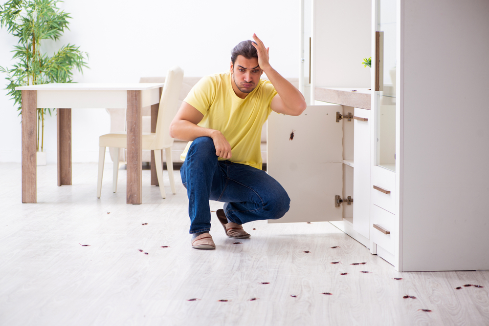 Tenant stressed after finding cockroach infestation in kitchen, highlighting landlord pest control responsibility.