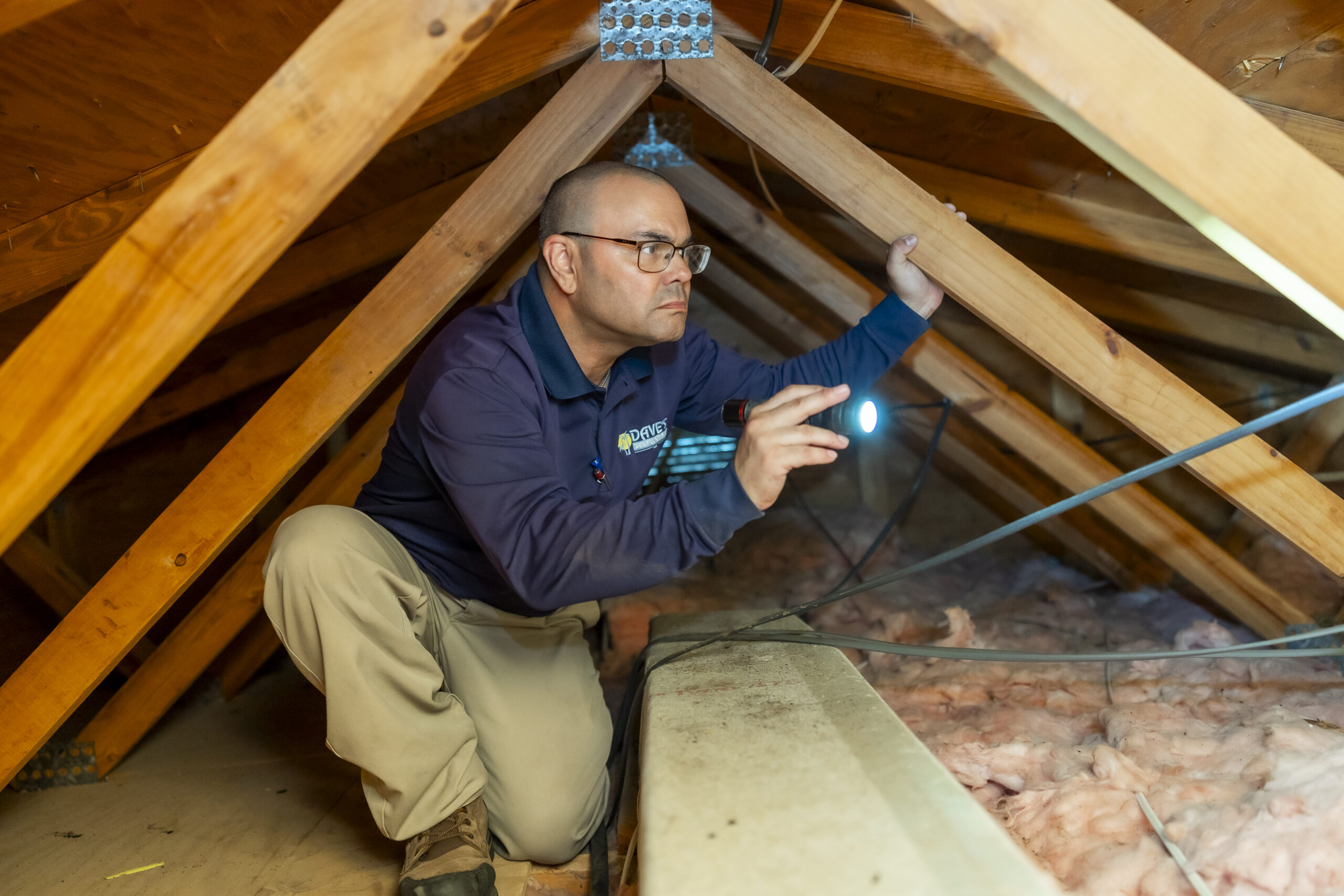 How much is pest control? Is it worth it?