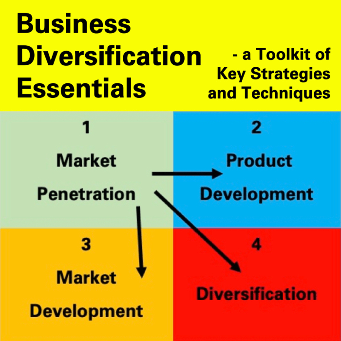 diversification toolkit business strategies key essentials techniques successful rapid how to achieve diversification terbaru