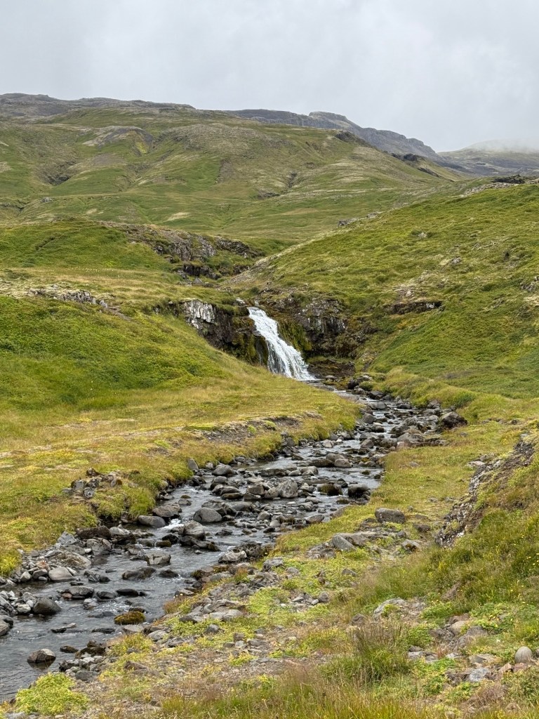 Image6