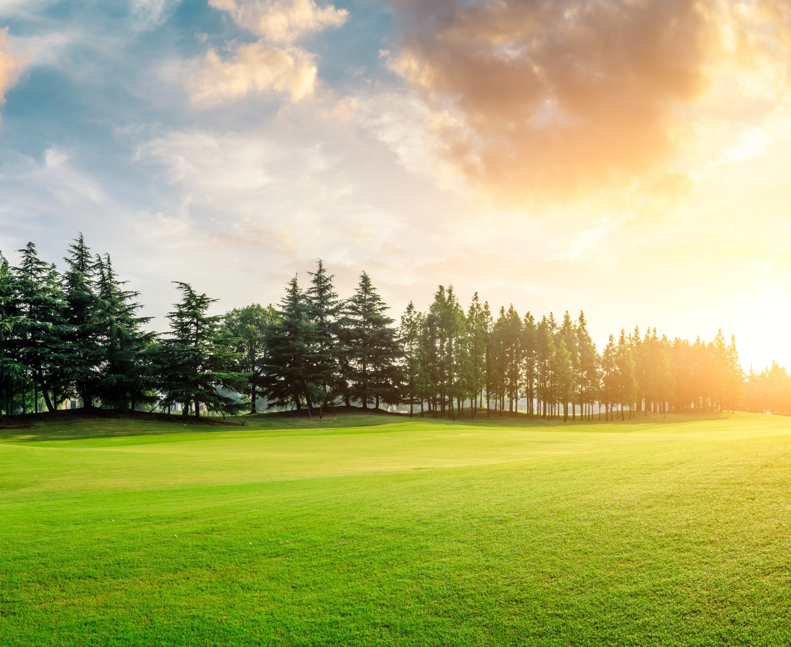 Why should we care about the environment? reasons for environmental awareness and protection