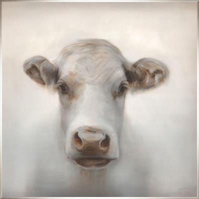 Cows