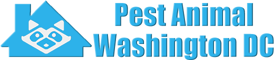 Washington dc animal removal, wildlife control, critter trapping