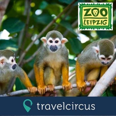 🐒 zoo leipzig + hotel inkl. frühstück für die ganze familie