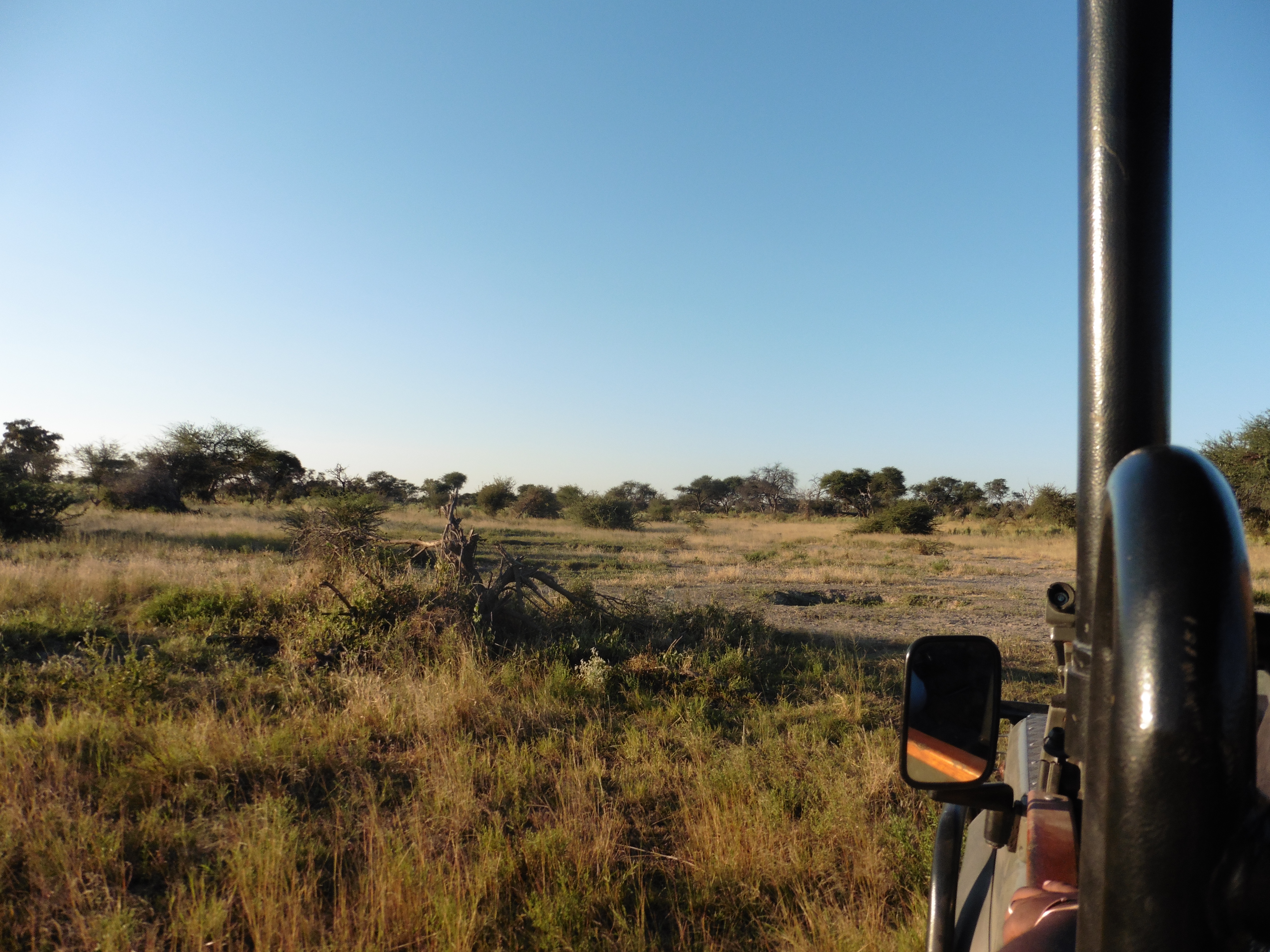 Okavango Delta Day One Debbie S Journal