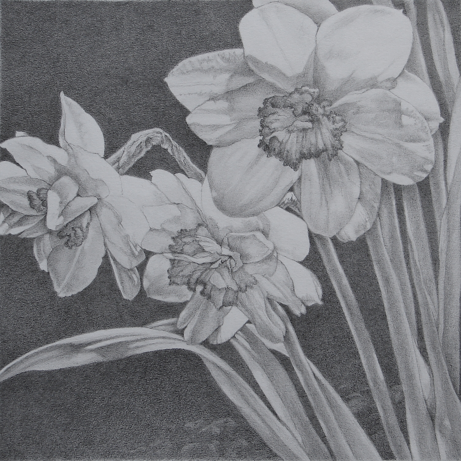 Springtime (8" x 8") $150