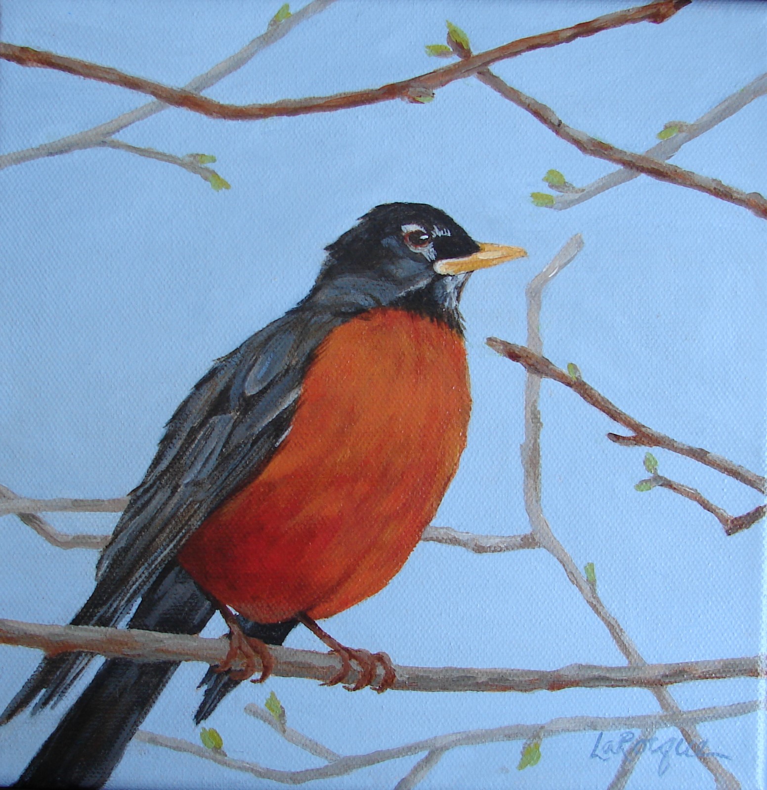 Spring Robin (8" x 8", framed) SOLD