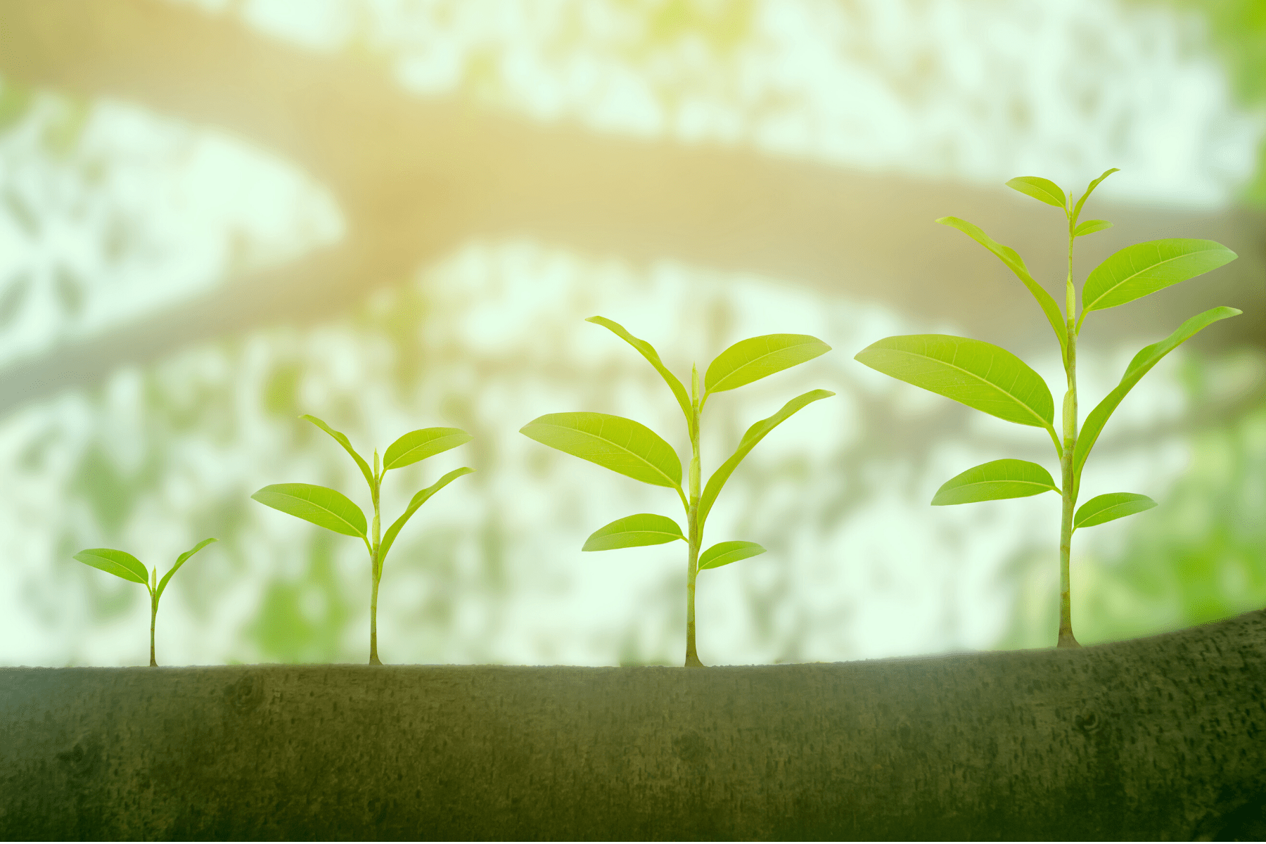 growth, declutter for change, podcast, declutter for change podcast, 005 growth, growing, changing, change