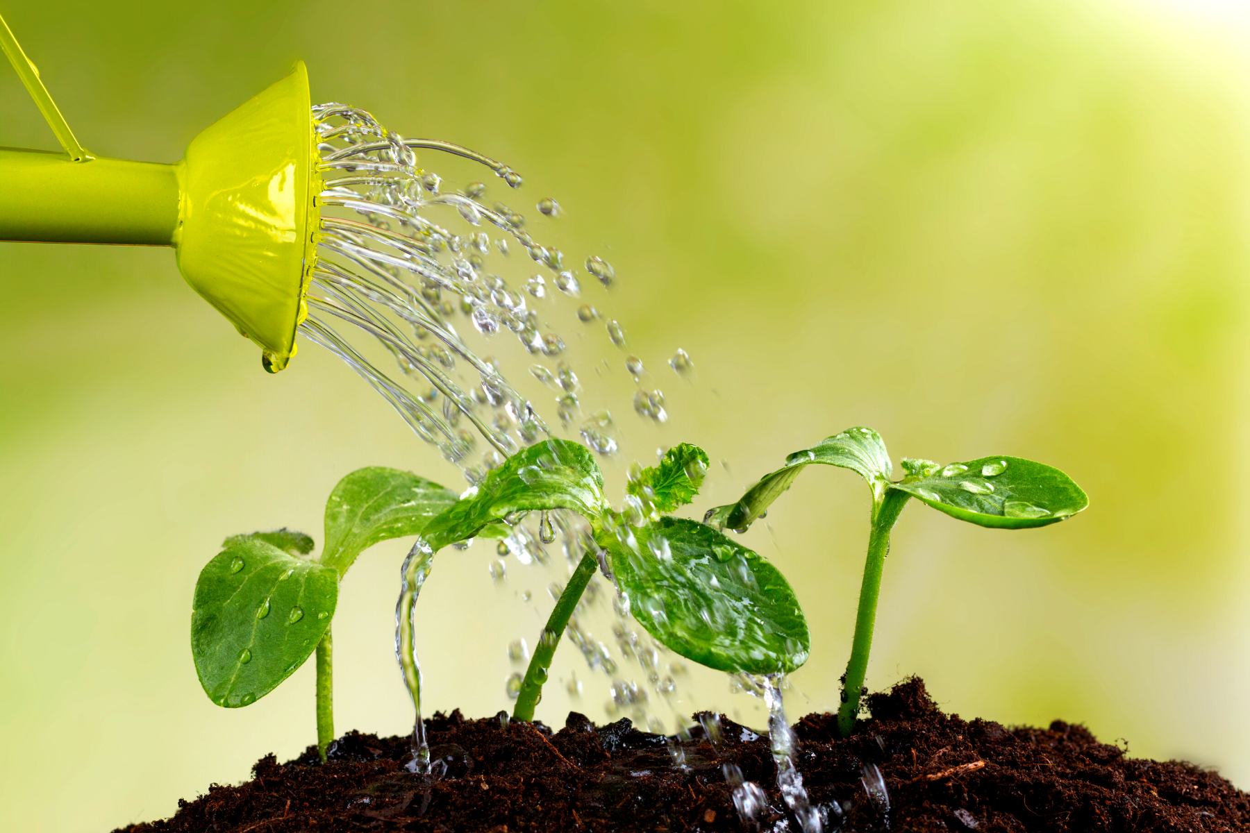 simplifying clutter, clutter, declutter for change, declutter to elevate