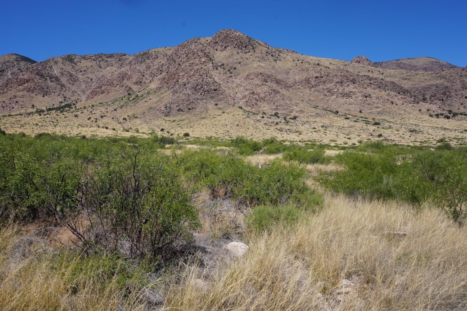 39 Acres Bordering National Forest Land