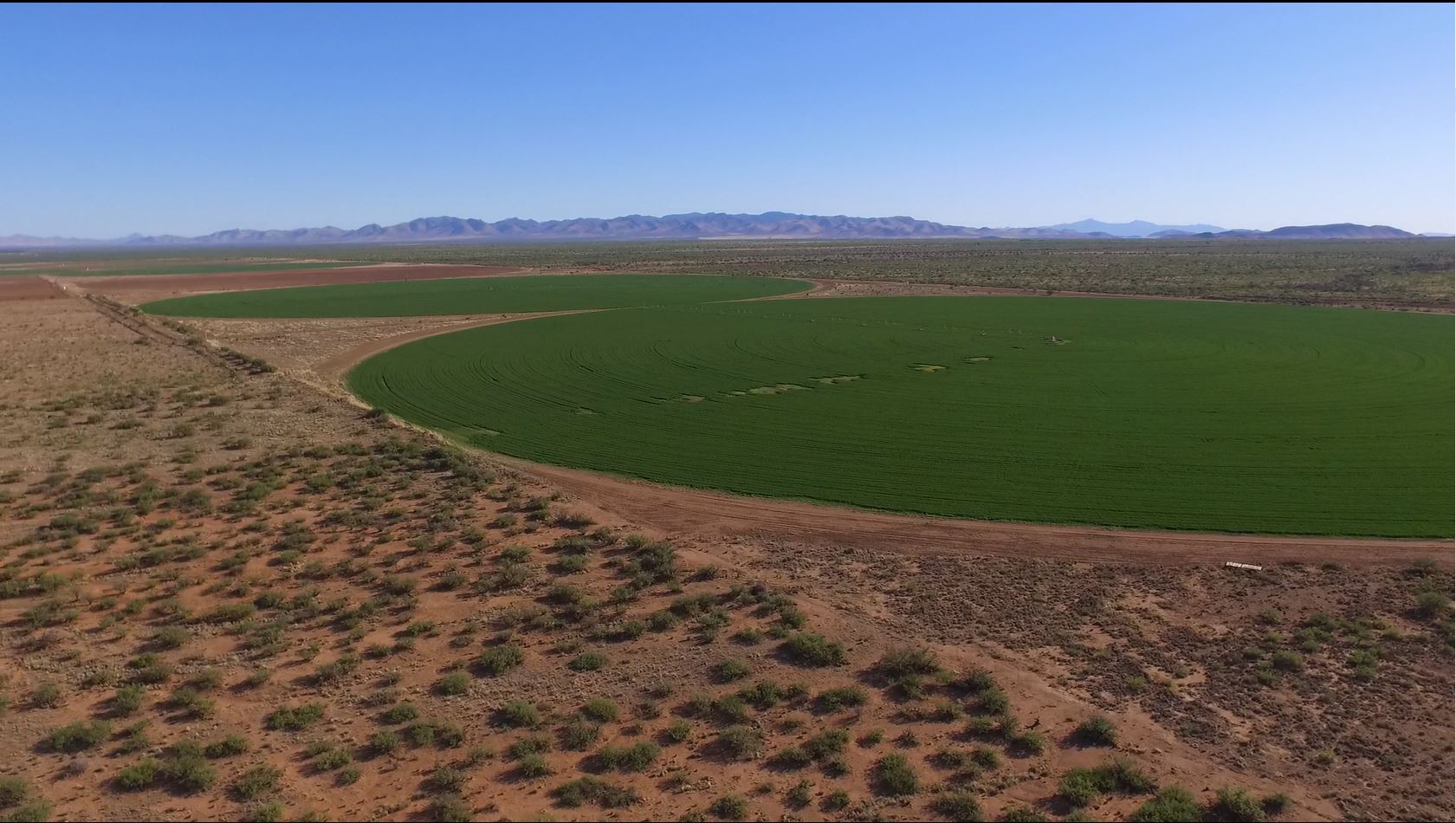 81+ Acres on Paved Road with Great Views of Elfrida, AZ
