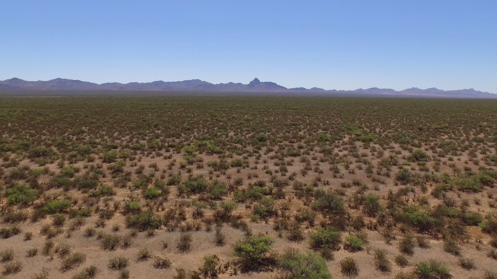 118+ Flat Acres Bordered by BLM and State Land – New Orchards Developed Nearby
