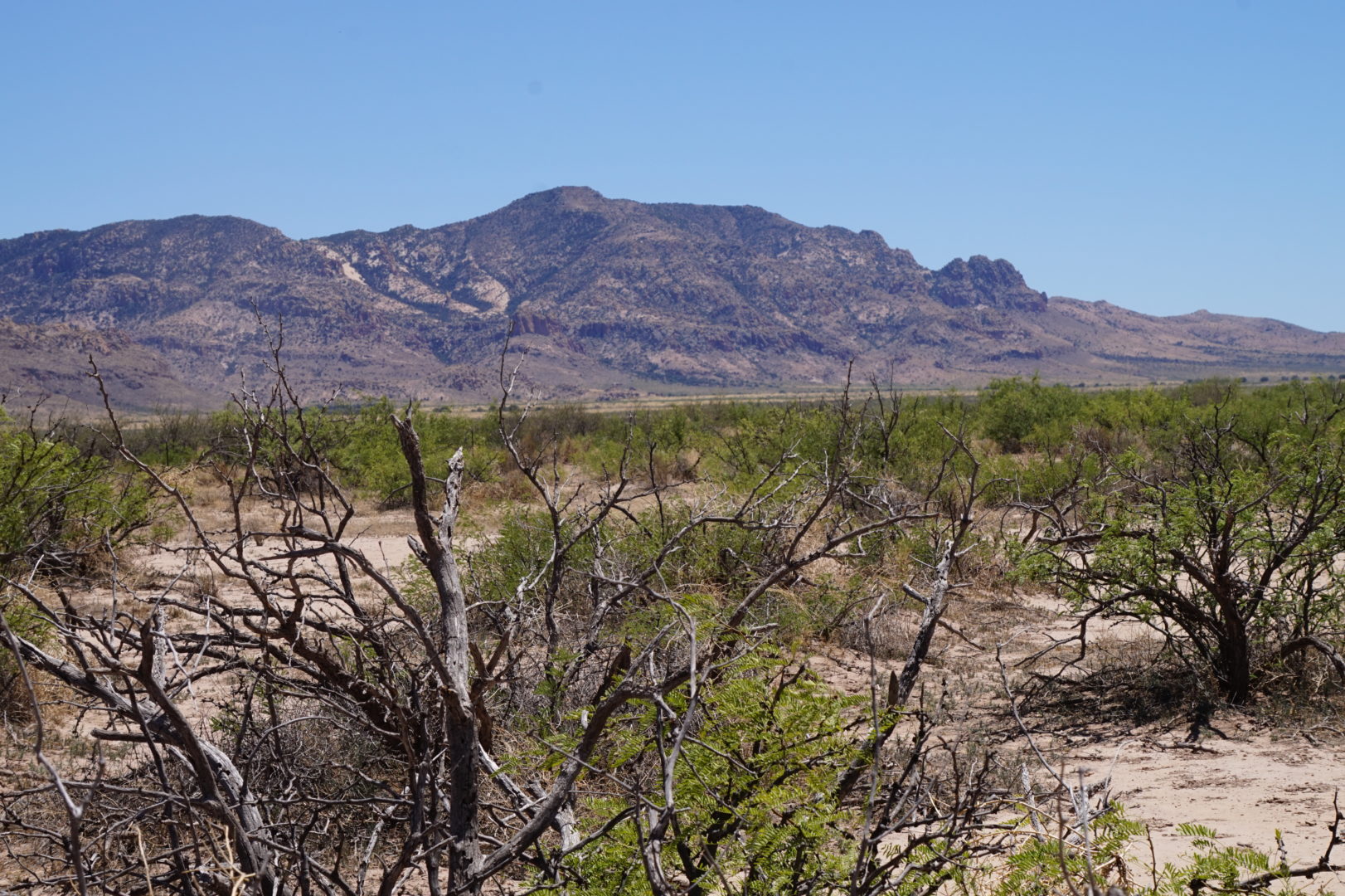 40 Acres w/Well and Power at Property Line