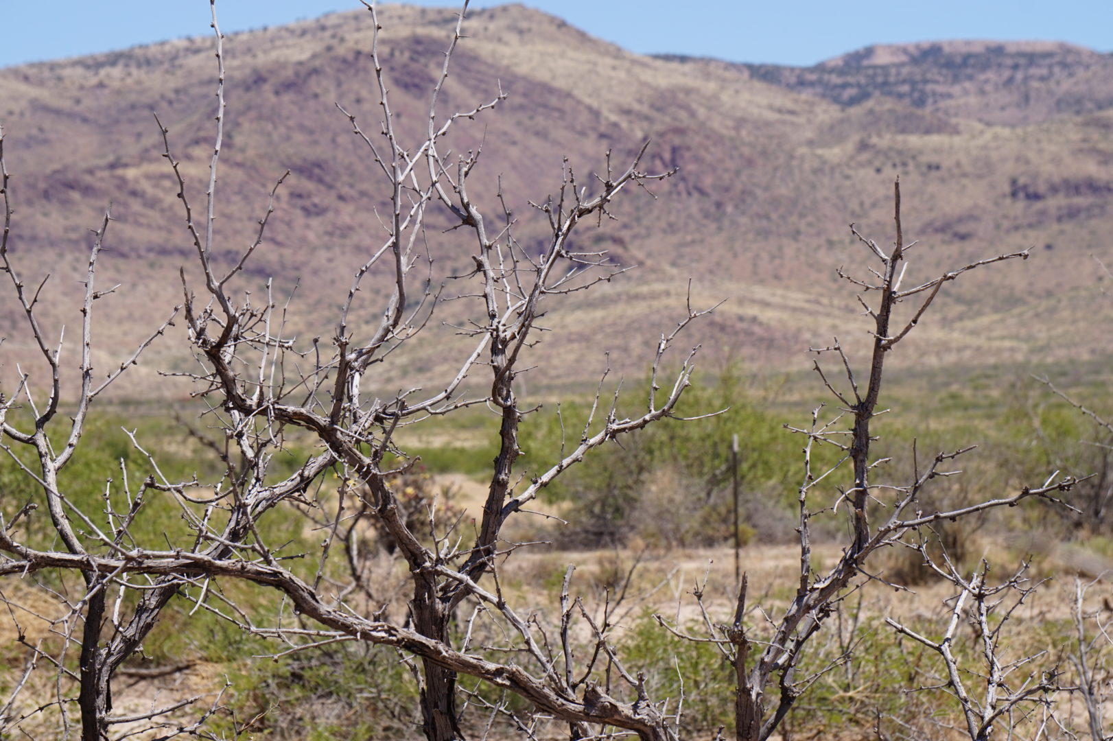 40 Acres w/Well and Power at Property Line