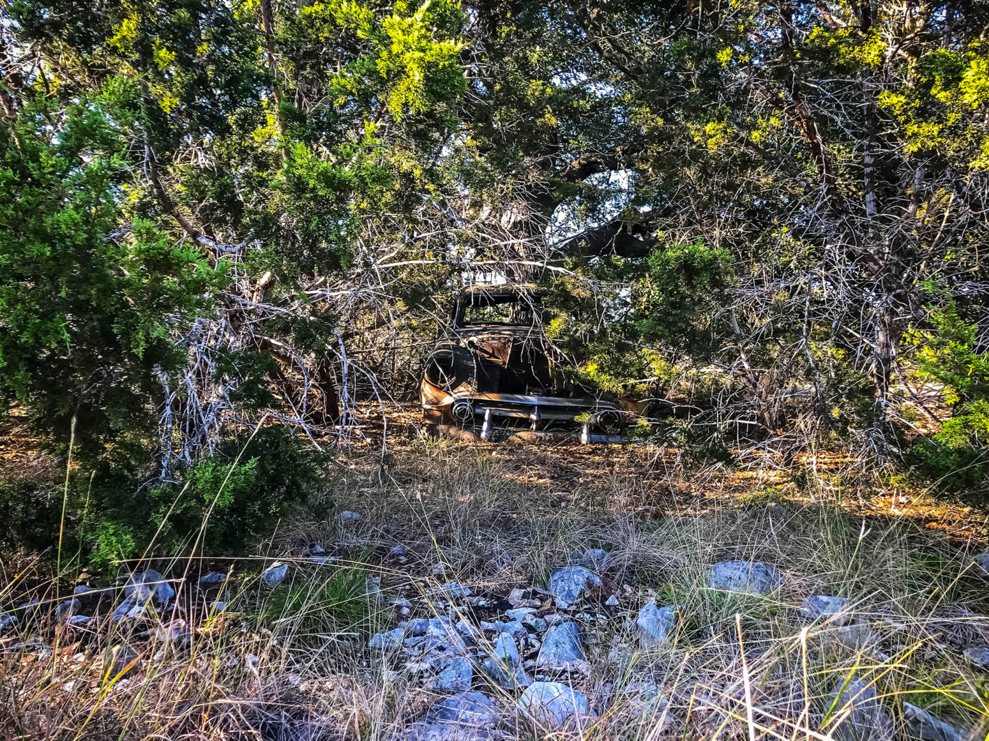 18 Acres Bursting with Wildlife, Trees and Meadows