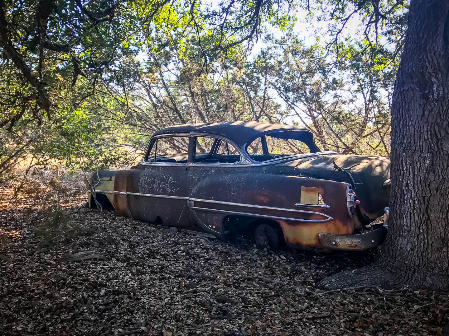 18 Acres Bursting with Wildlife, Trees and Meadows