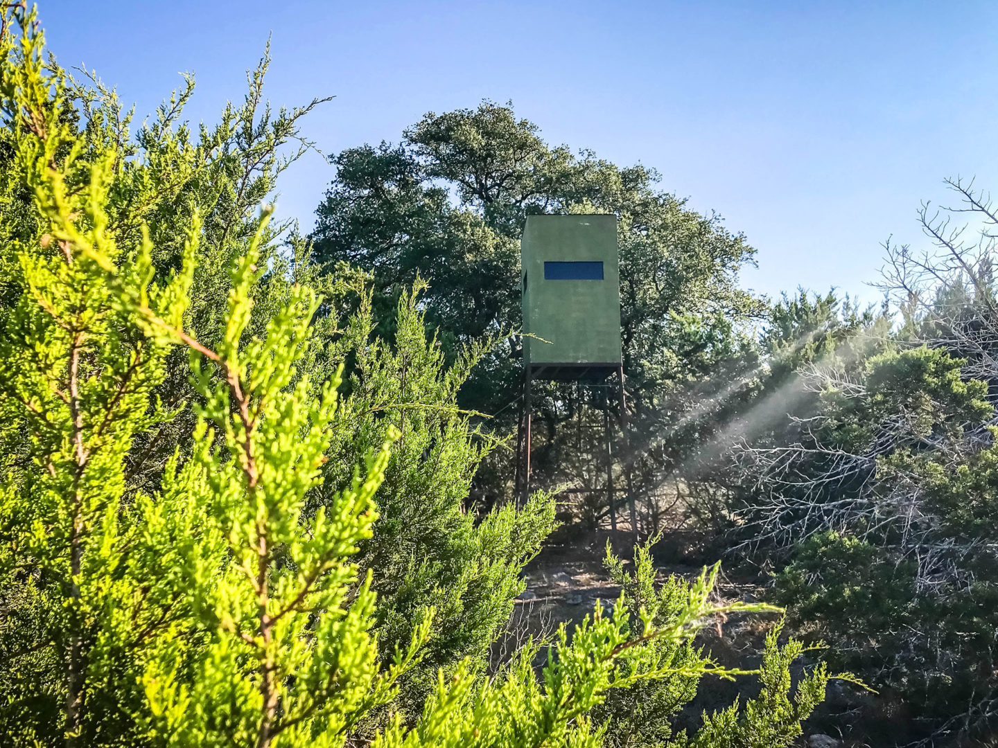 18 Acres Bursting with Wildlife, Trees and Meadows