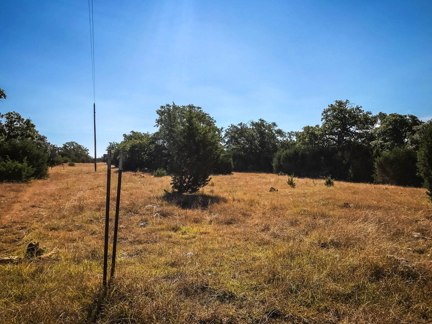 18 Acres Bursting with Wildlife, Trees and Meadows