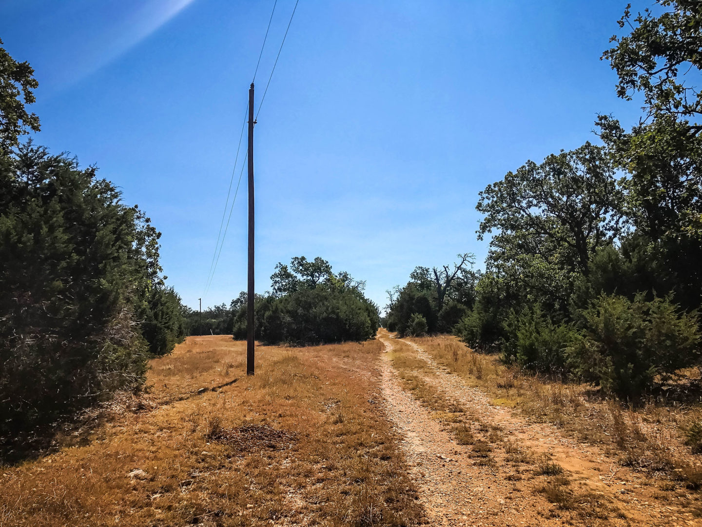18 Acres Bursting with Wildlife, Trees and Meadows