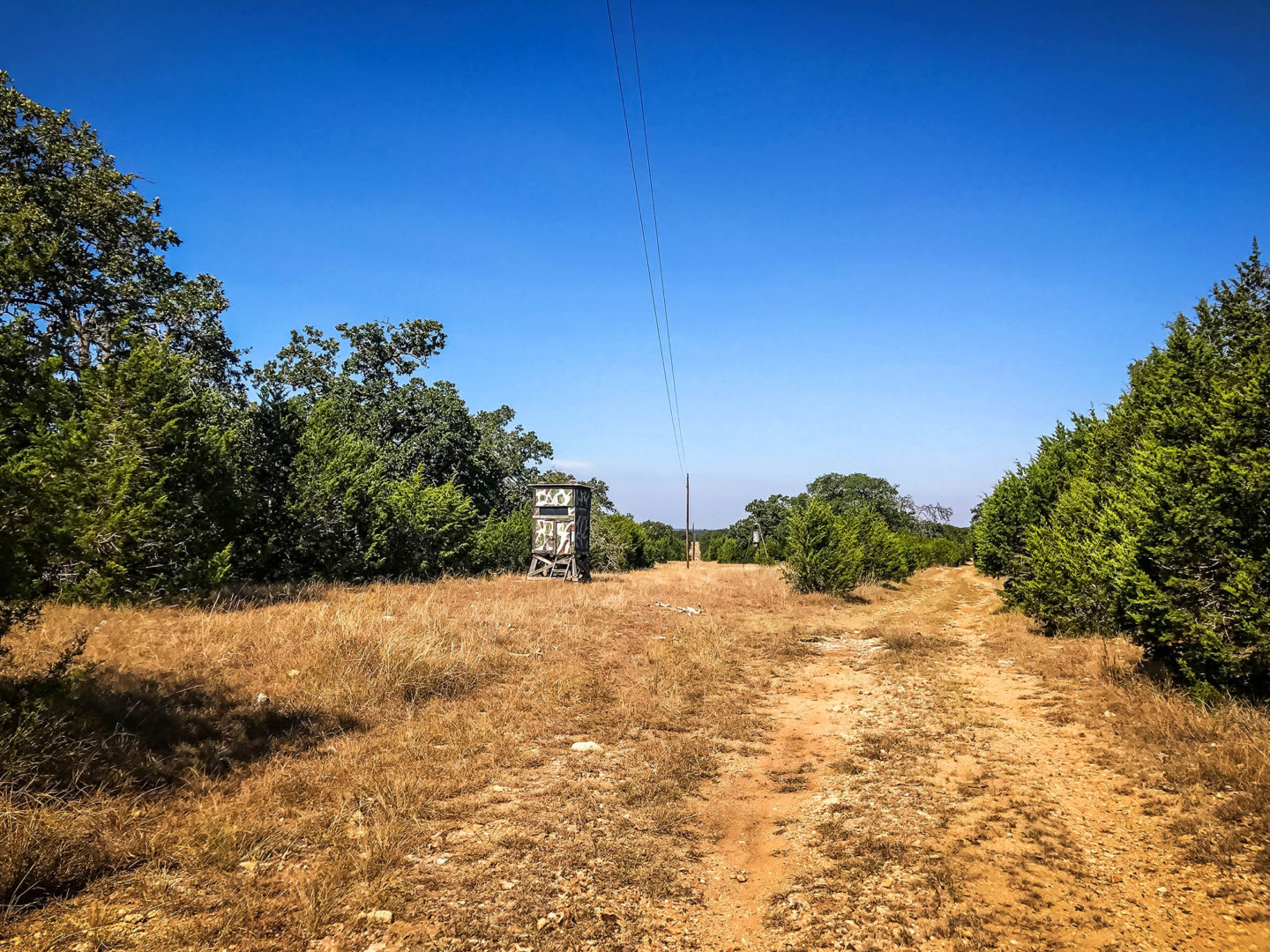 18 Acres Bursting with Wildlife, Trees and Meadows