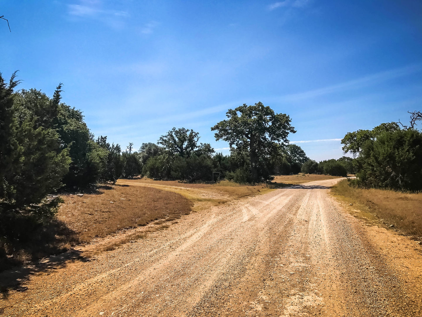 18 Acres Bursting with Wildlife, Trees and Meadows