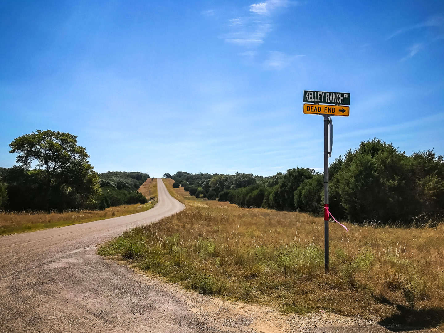18 Acres Bursting with Wildlife, Trees and Meadows
