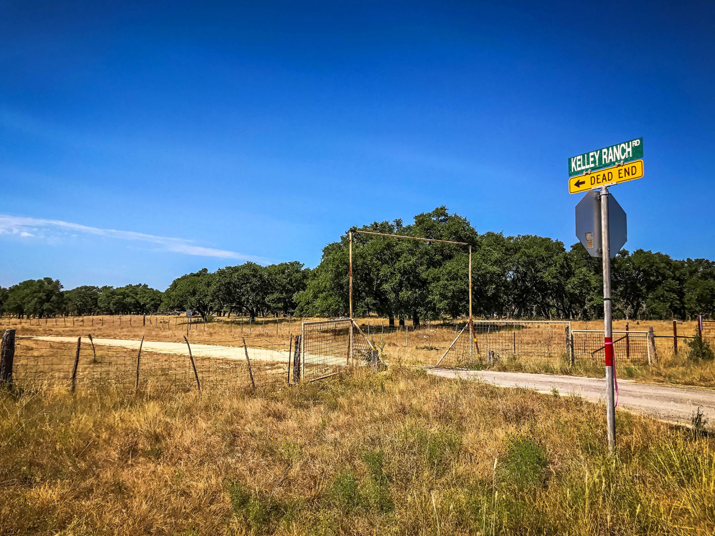 18 Acres Bursting with Wildlife, Trees and Meadows
