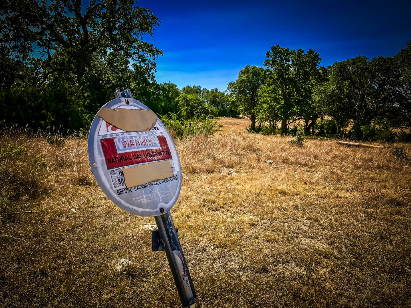 18 Acres Bursting with Wildlife, Trees and Meadows