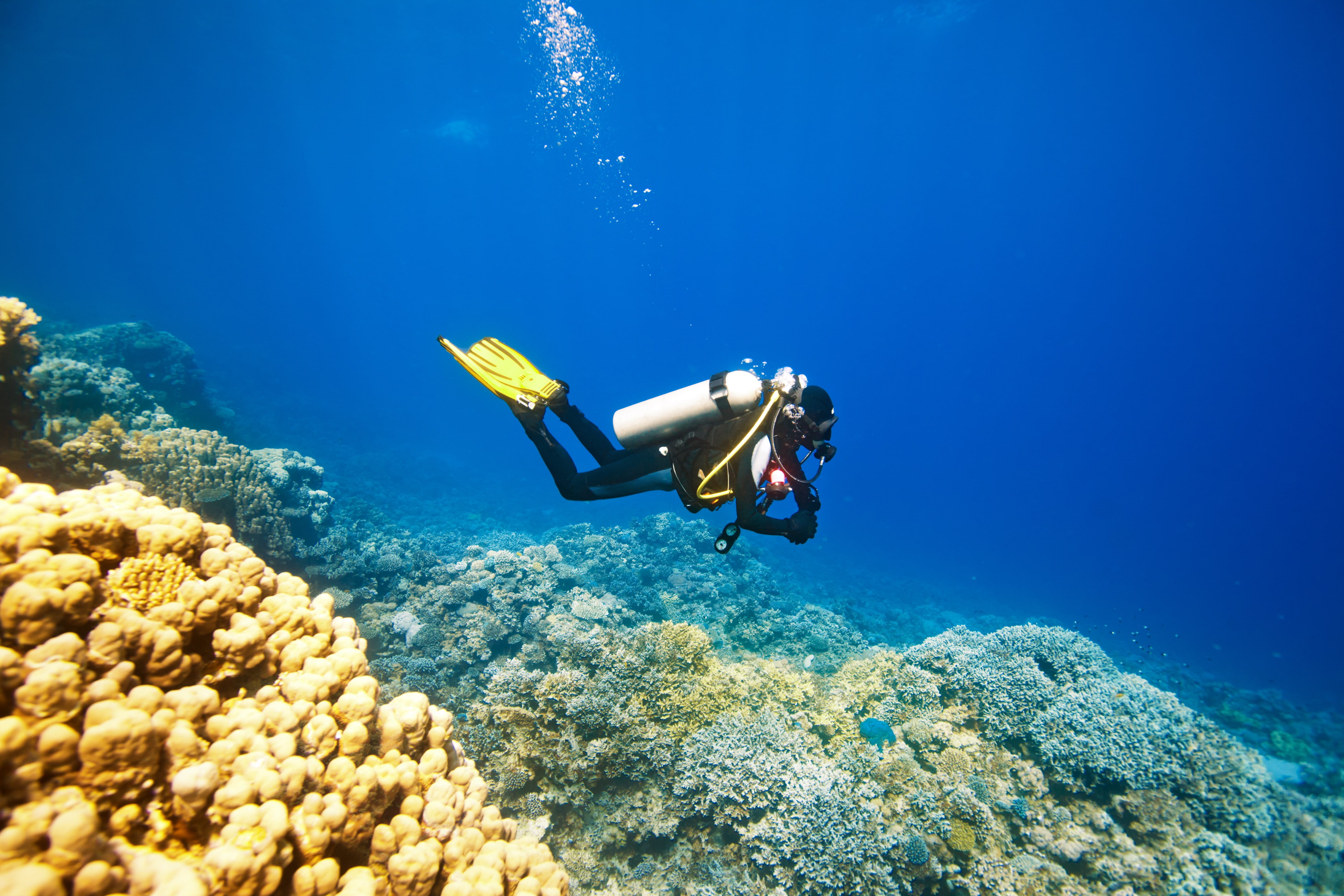 How to improve your style and dive longer