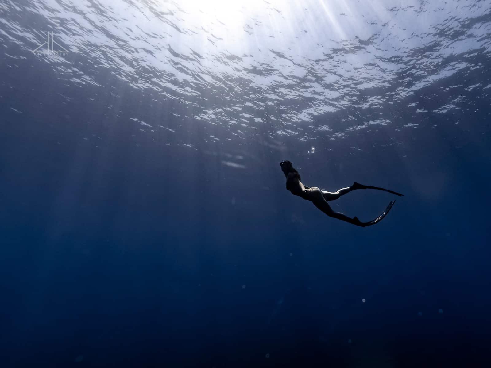 19 981 Scuba Diving Videos And Hd Footage Getty Images A submerged scuba diver looks up towards the calm water of a lake and notes that the Sun appears to be 20 from the vertical.