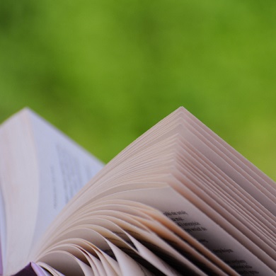 Delaware Mentoring Community - Classic City Art - Ultra HD