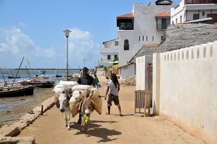 Lamu Island