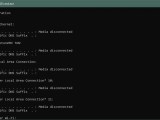 The Echo Command In Batch Delft Stack