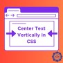 How To Center Text Vertically In CSS | Delft Stack