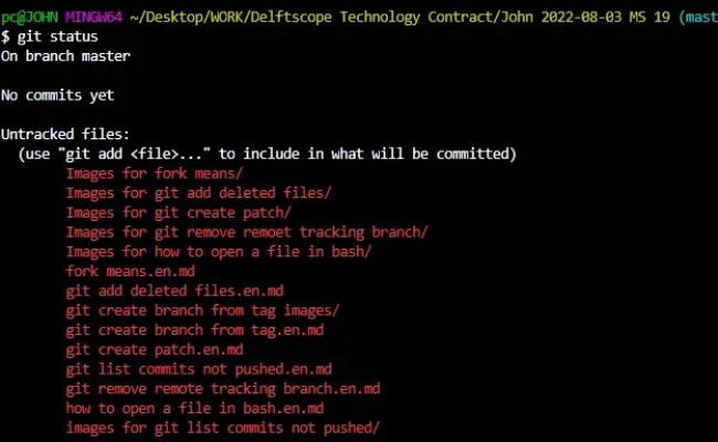 How To Make A Folder A Git Repo And Push To Remote | Delft Stack
