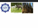How To Click Or Hover On The Image To Enlarge In Html Delft Stack
