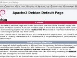 How To Configure Apache Web Server On Ubuntu And Debian Delft Stack