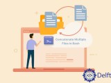 How To Concatenate Multiple Files In Bash Delft Stack