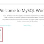 How To Create New Database In MySQL Workbench | Delft Stack