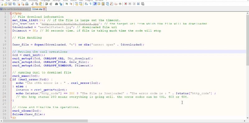 File Download With CURL in PHP | Delft Stack