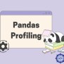 Pandas Profiling | Delft Stack