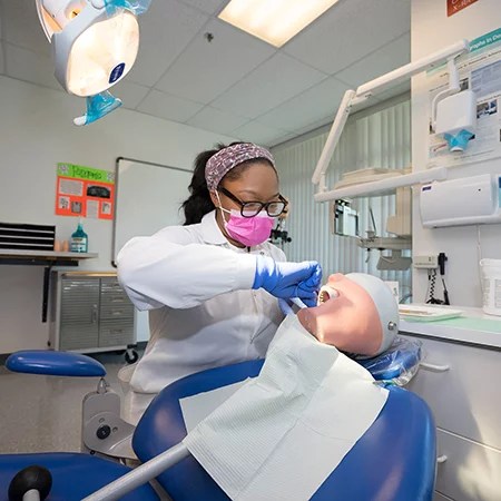 Pumped Dental Implants Humor Toothless Wisdomteeth Emergency Dentist Dentist Dental 