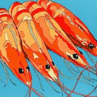 2025D Pic - Maria Ellis 2025D Pic - Maria Ellis