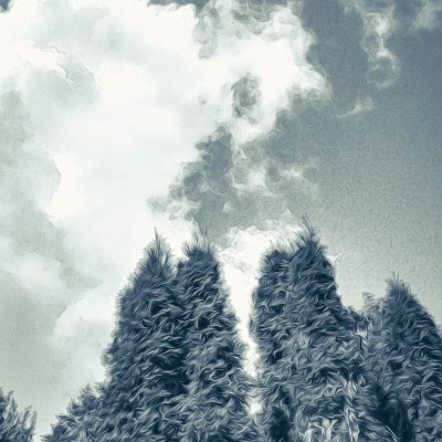 Trees and Clouds