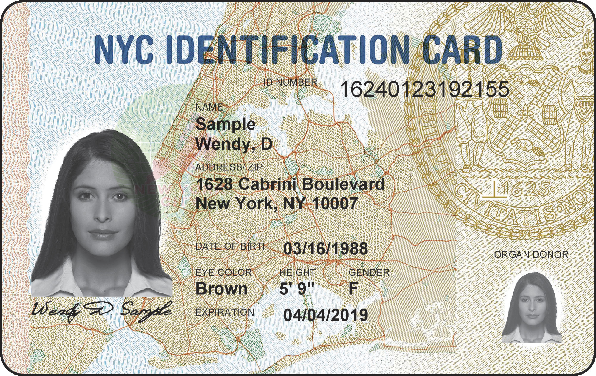New york city could destroy immigrant id card data after donald trump win