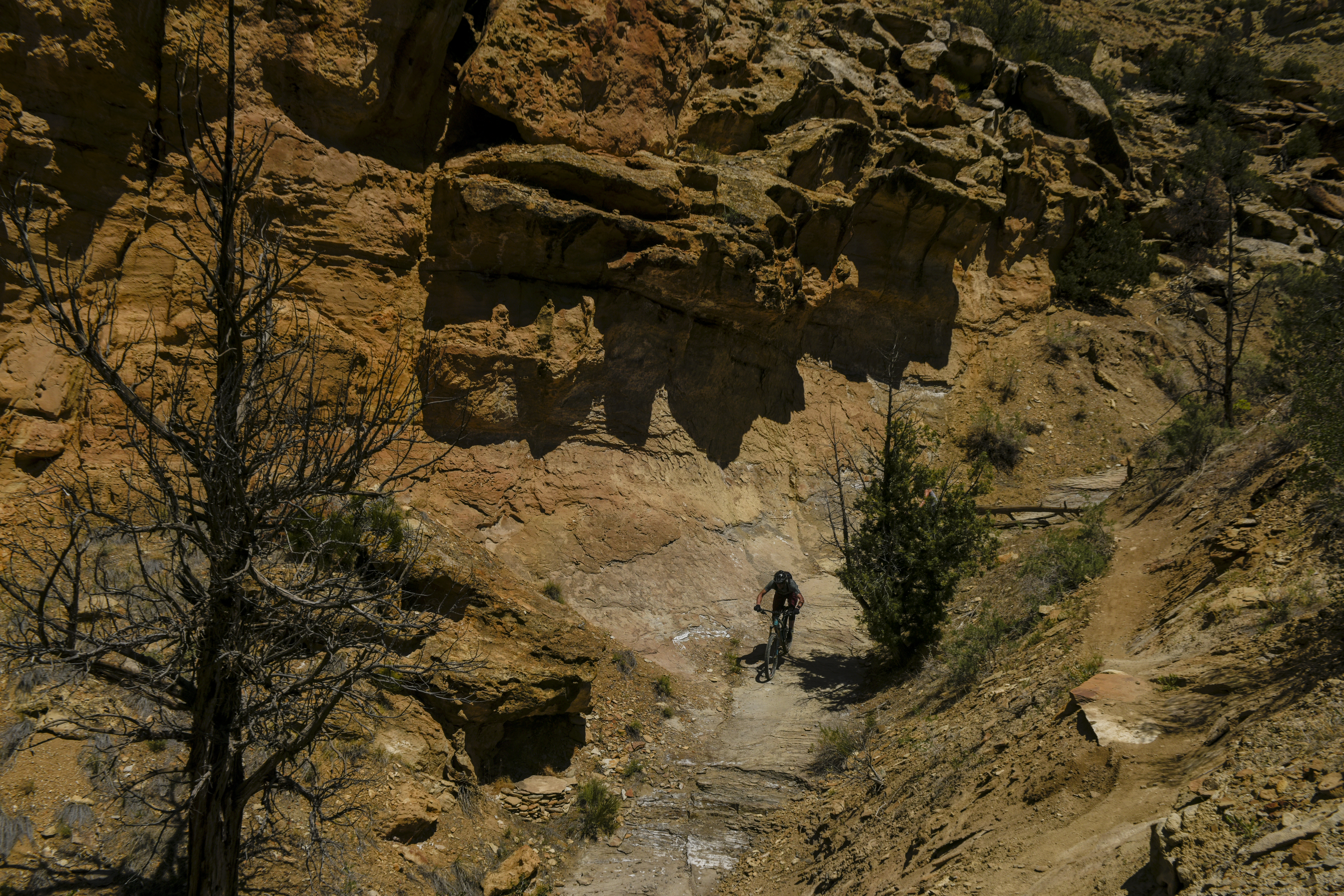 MESA COUNTY, CO - MAY 5: A rider cruises down a narrow canyon on the small open lower section that connects to the Palisade Rim Trail just outside of Palisade on Wednesday, May 5, 2021. The Palisade Plunge, the new 32-mile first-of-its-kind multiagency mountain biking trail that runs from near the top of the Grand Mesa and drops some 4,000 total feet into Palisade, will open sometime in mid to late July. Though many expected the trail to be open by June, snowfall, wildlife migration and a small section of trail still needing attention by hand crews have pushed the date back to midsummer. The partnership of BLM, Colorado Parks and Wildlife, the city of Grand Junction, the town of Palisade, COPMOBA and the Van Winkle ranch led to the creation of what is expected to be on the of nationÕs premier mountain biking trails rivaling MoabÕs Whole Enchilada and SalidaÕs Monarch Crest Trail. Starting atop the Grand Mesa, riders will travel 32 miles with breathtaking views as they ride purpose-built single track along the rim overlooking Grand Valley. With much hype surrounding the years long project, Rondo Buecheler, owner of Rapid Creek Cycles and Paddleboards, says he his shop has received more than a hundred calls daily inquiring about the status of the opening. Despite the delay, the project is expected to infuse the economy with a plethora of income related to lodging, dining and recreation in what is already emerging as one of ColoradoÕs premier mountain biking and cycling destinations. With more than 150 miles of trails already built in the county and 32 additional miles opening with the Plunge, even more projects are underway that could see the Valley boasting more than 200 miles of trails in the years to come. (Photo by AAron Ontiveroz/The Denver Post)